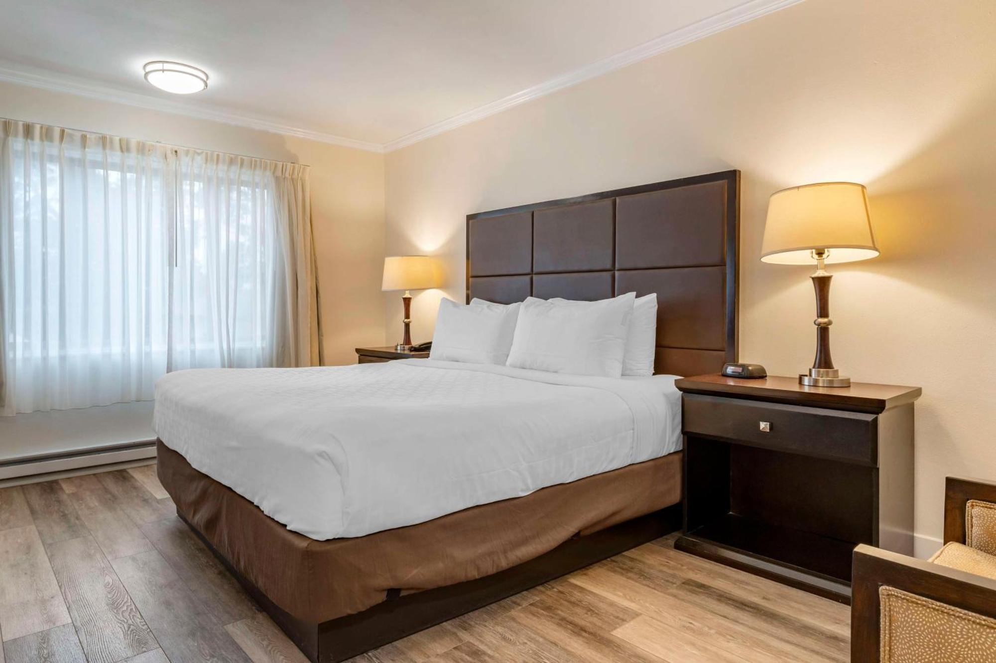 Best Western Carmel'S Town House Lodge Екстер'єр фото
